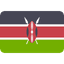 Country Flag
